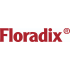 Floradix 铁元